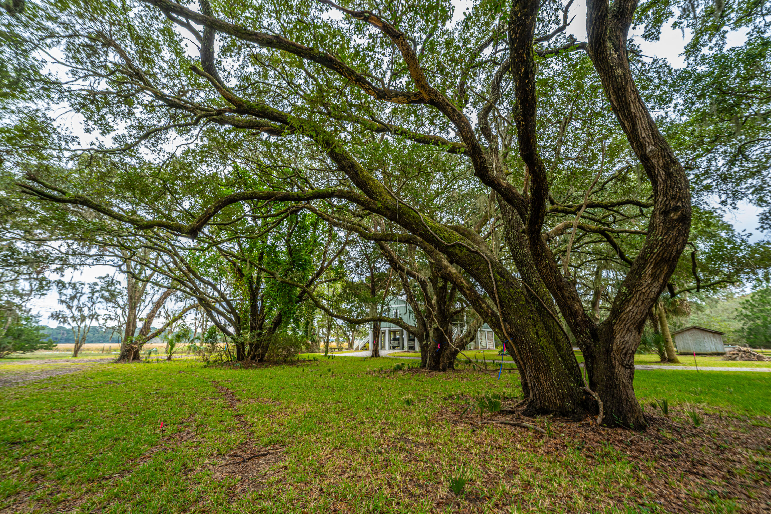 8737 Peters Point Road Edisto Island, SC 29438 - Photo 12 of 42 8737PetersPointRd008