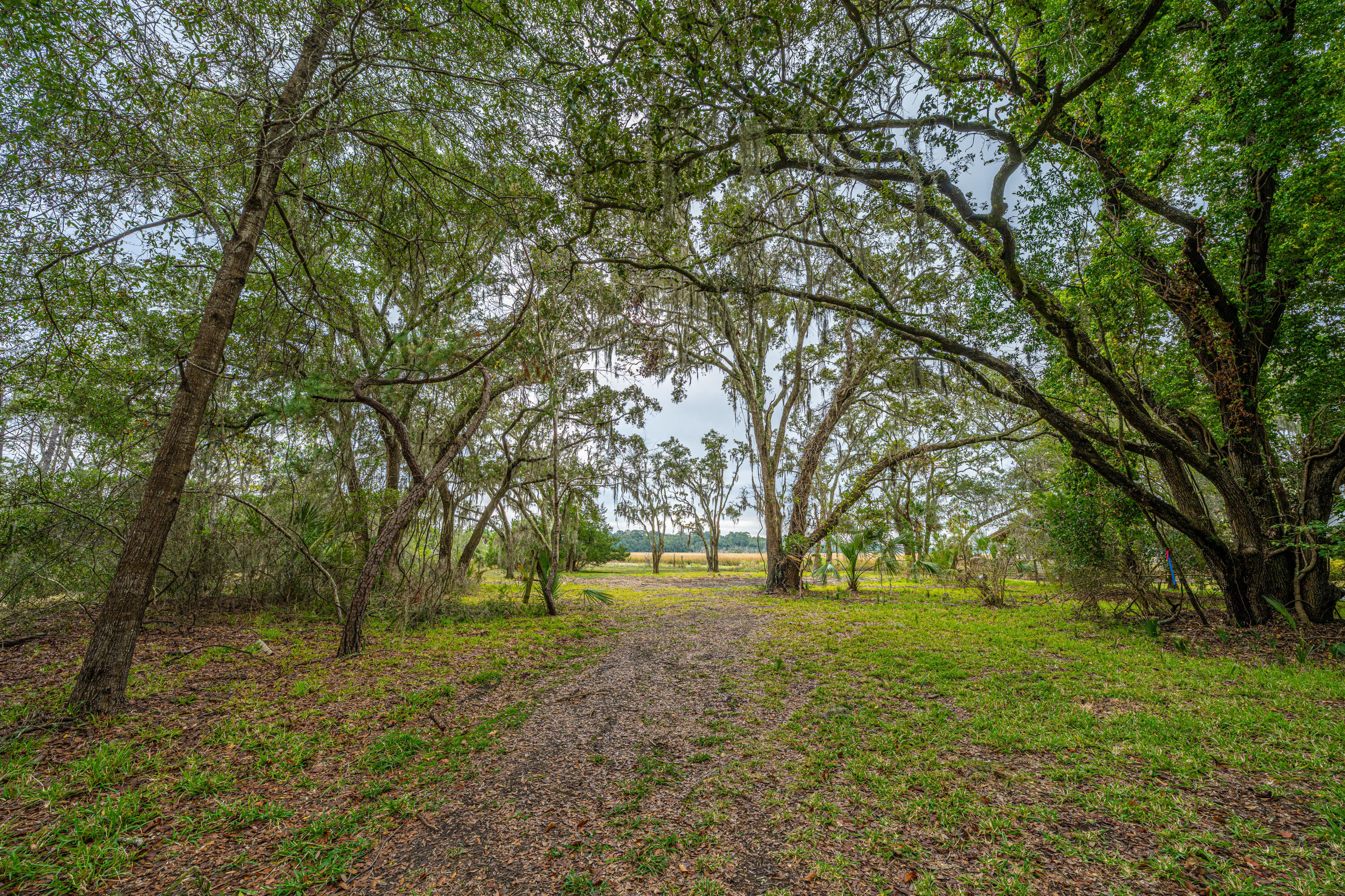 8737 Peters Point Road Edisto Island, SC 29438 - Photo 14 of 42 8737PetersPointRd010