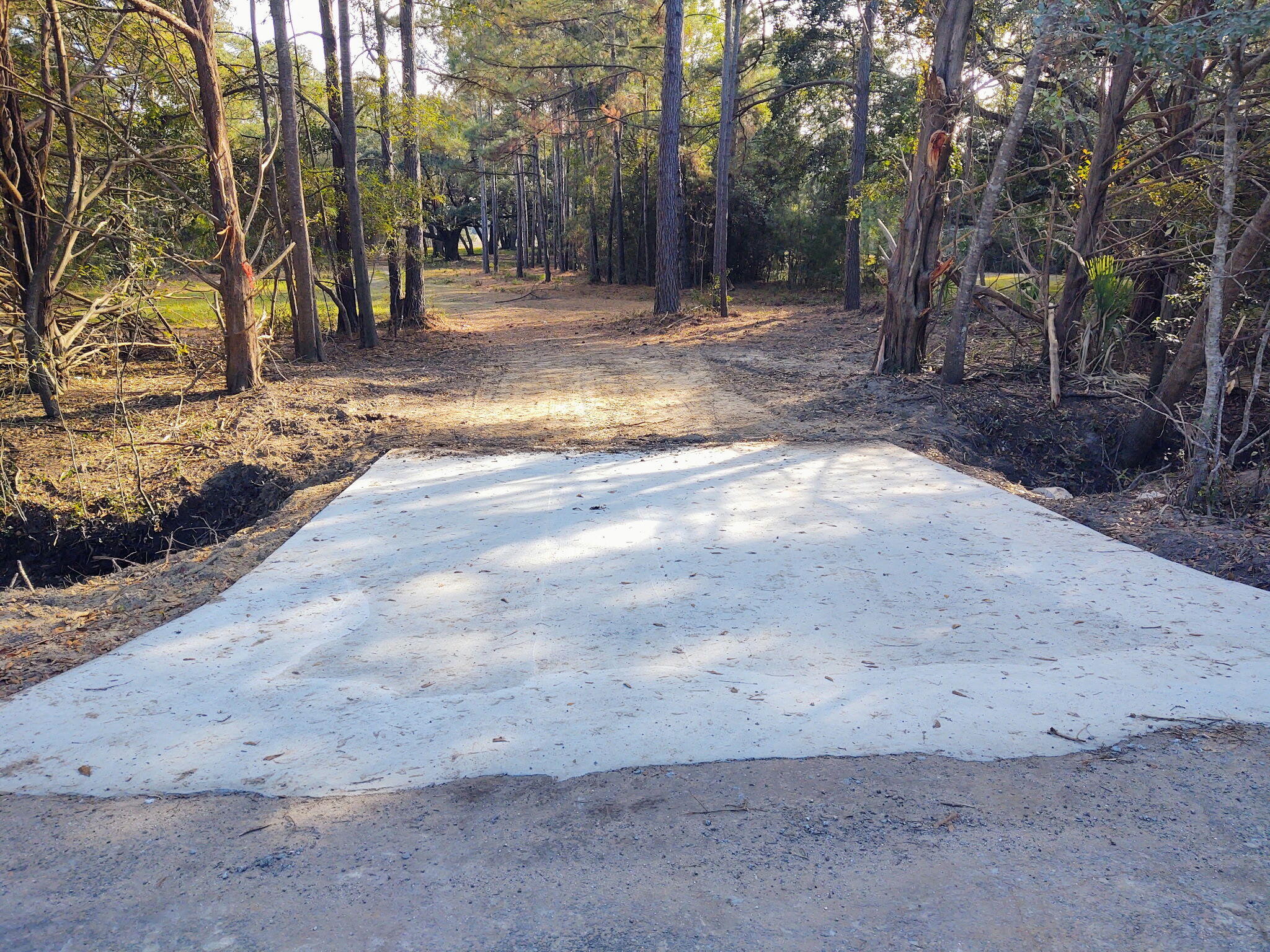 8737 Peters Point Road Edisto Island, SC 29438 - Photo 15 of 42 Paved entrance