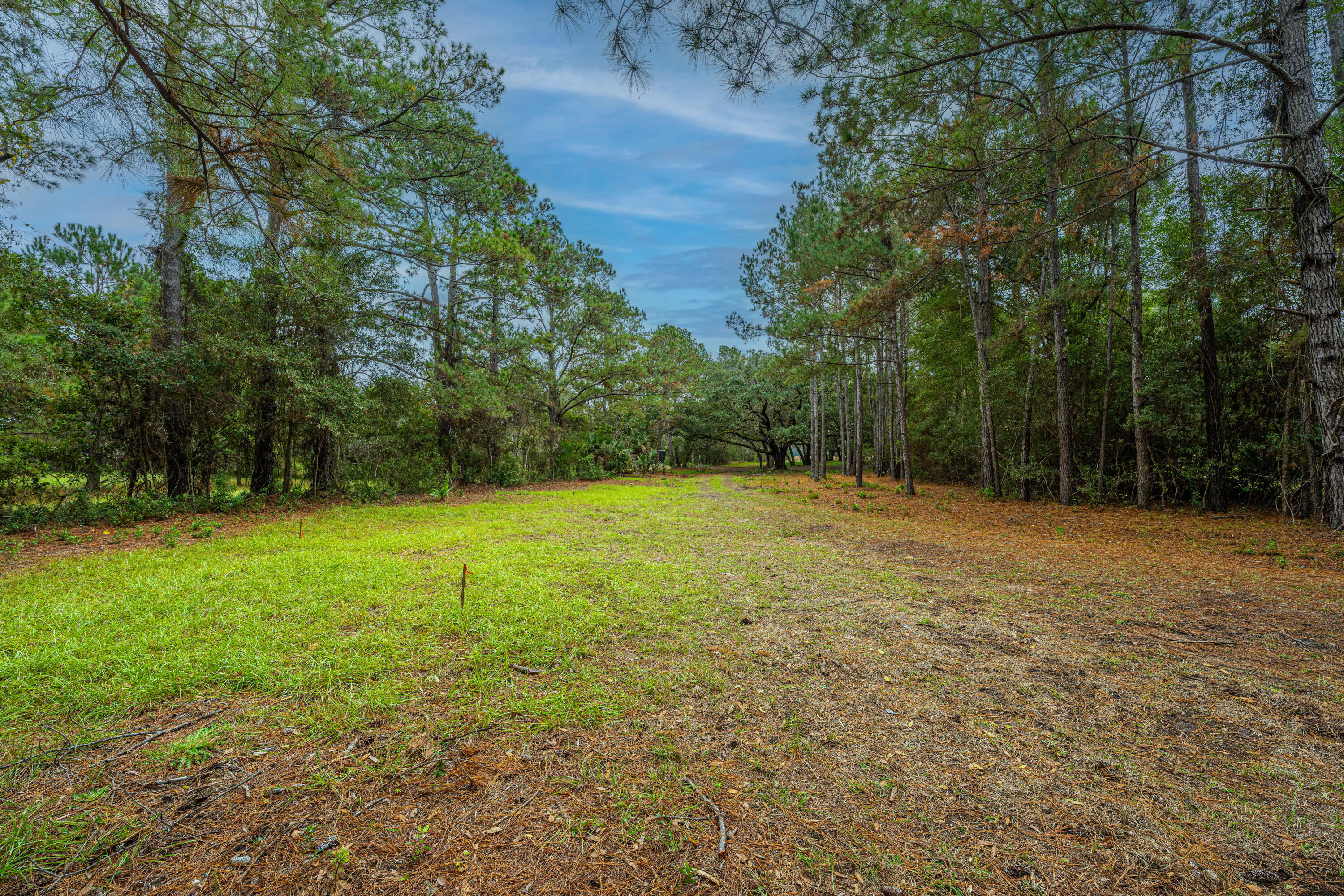 8737 Peters Point Road Edisto Island, SC 29438 - Photo 16 of 42 8737PetersPointRd011