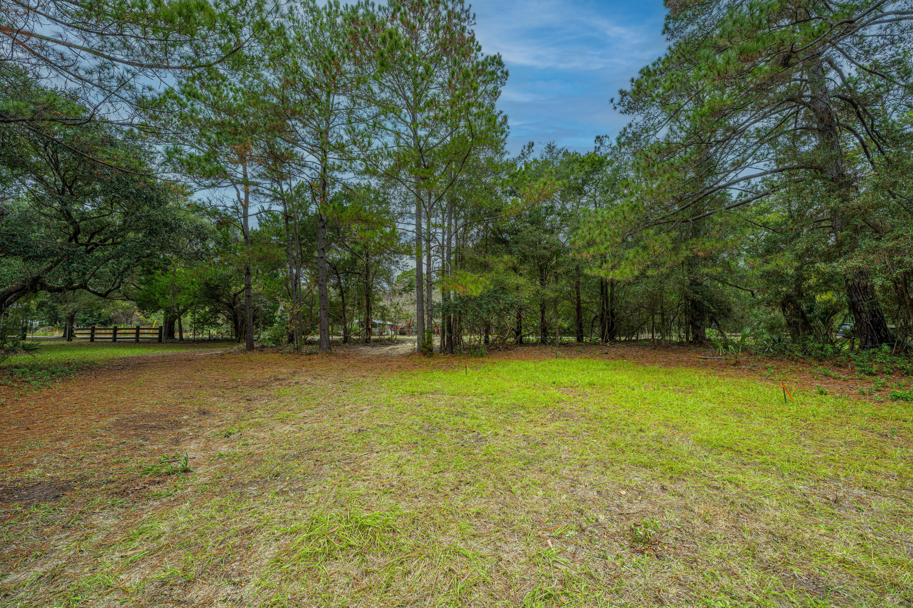 8737 Peters Point Road Edisto Island, SC 29438 - Photo 18 of 42 8737PetersPointRd013
