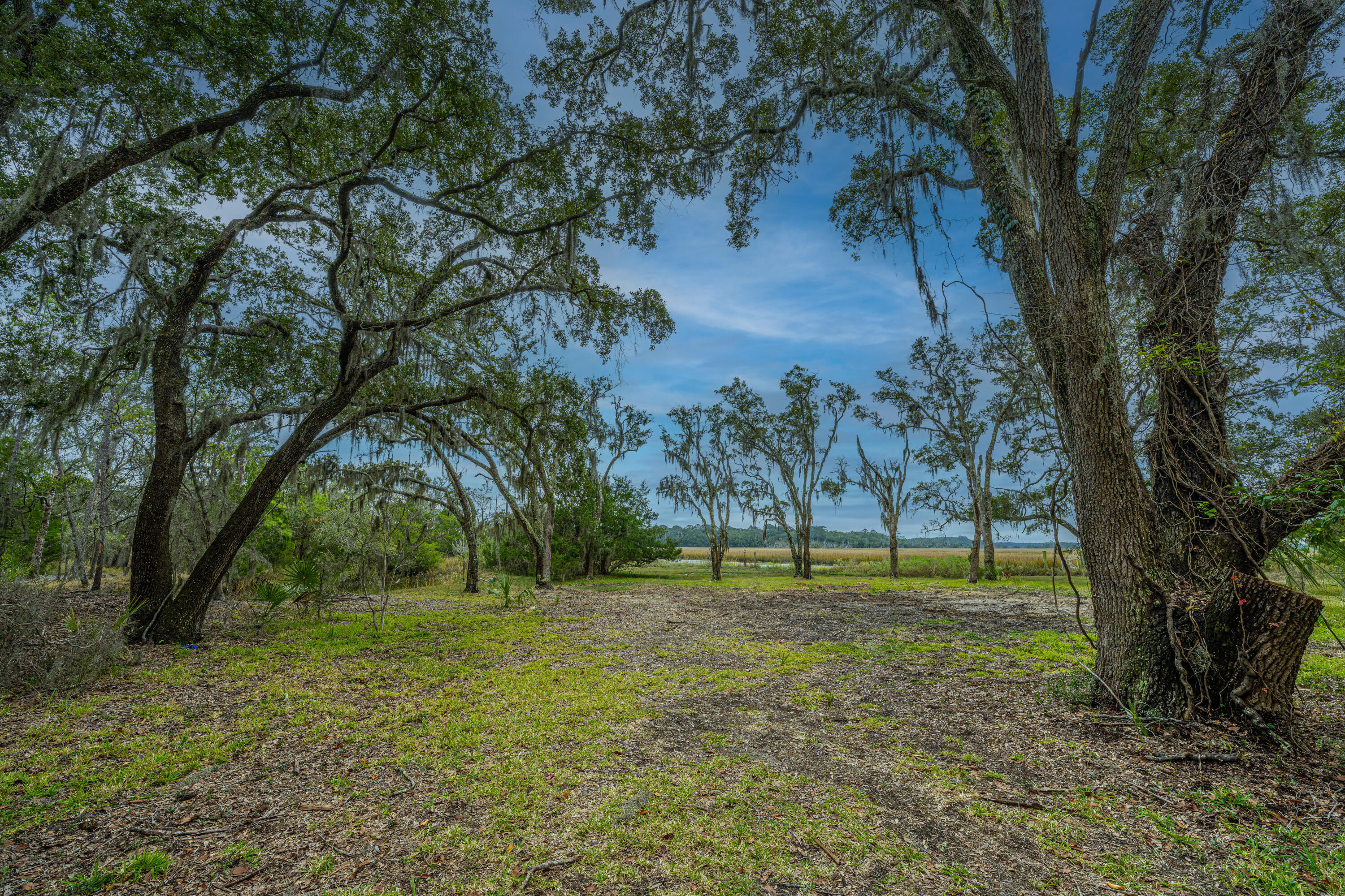 8737 Peters Point Road Edisto Island, SC 29438 - Photo 20 of 42 Homesite By Creek