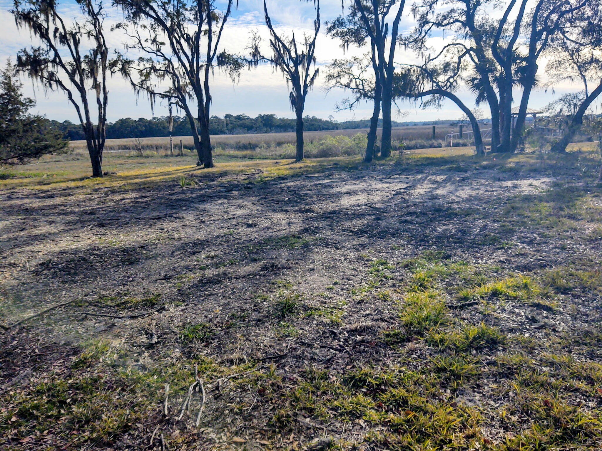 8737 Peters Point Road Edisto Island, SC 29438 - Photo 21 of 42 Cleared Homesite