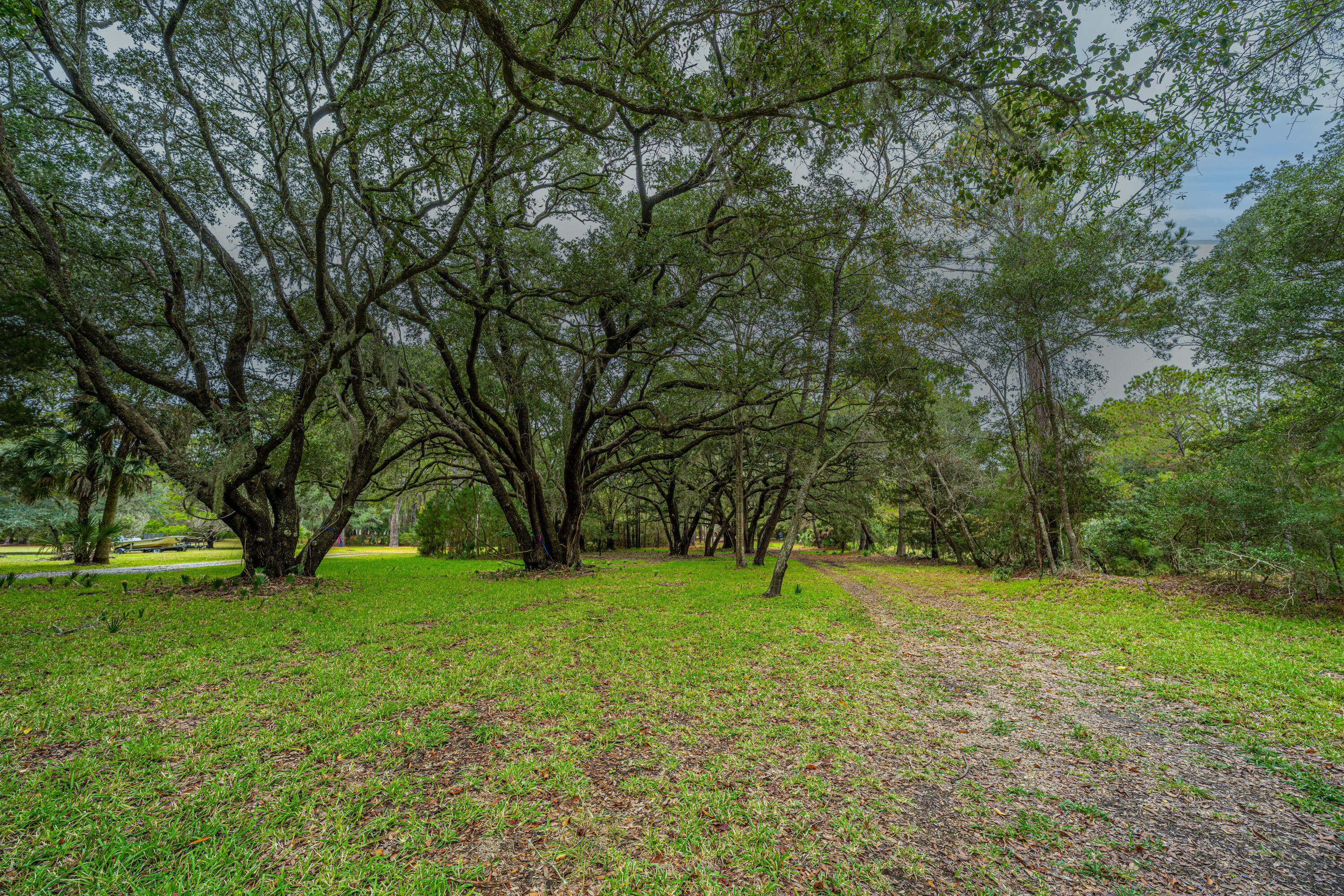 8737 Peters Point Road Edisto Island, SC 29438 - Photo 23 of 42 8737PetersPointRd025