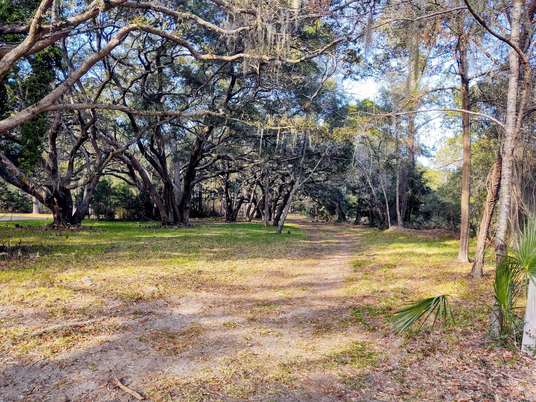 8737 Peters Point Road Edisto Island, SC 29438 - Photo 27 of 42 Homesite