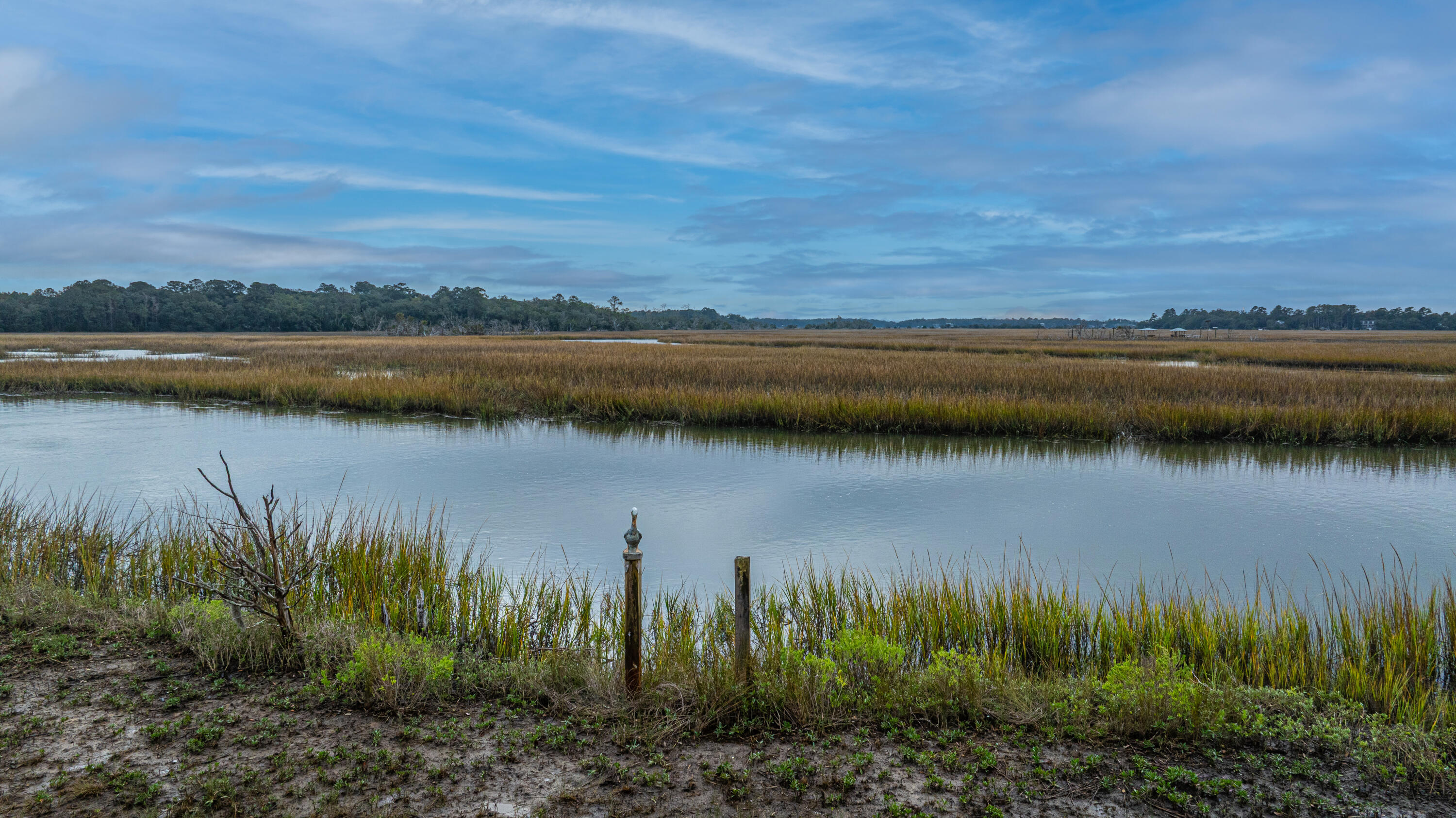 8737 Peters Point Road Edisto Island, SC 29438 - Photo 28 of 42 8737PetersPointRd033
