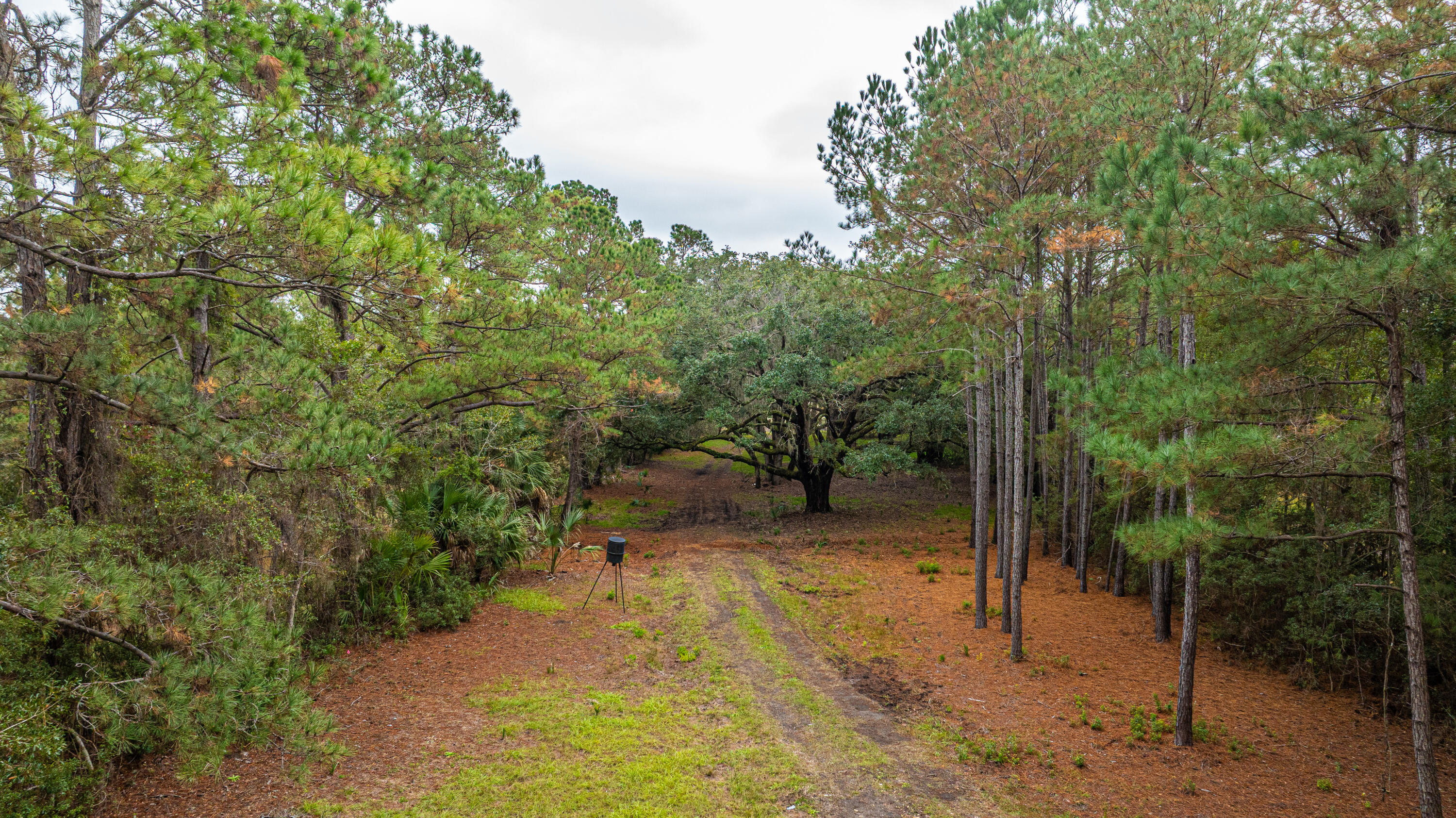 8737 Peters Point Road Edisto Island, SC 29438 - Photo 30 of 42 8737PetersPointRd069