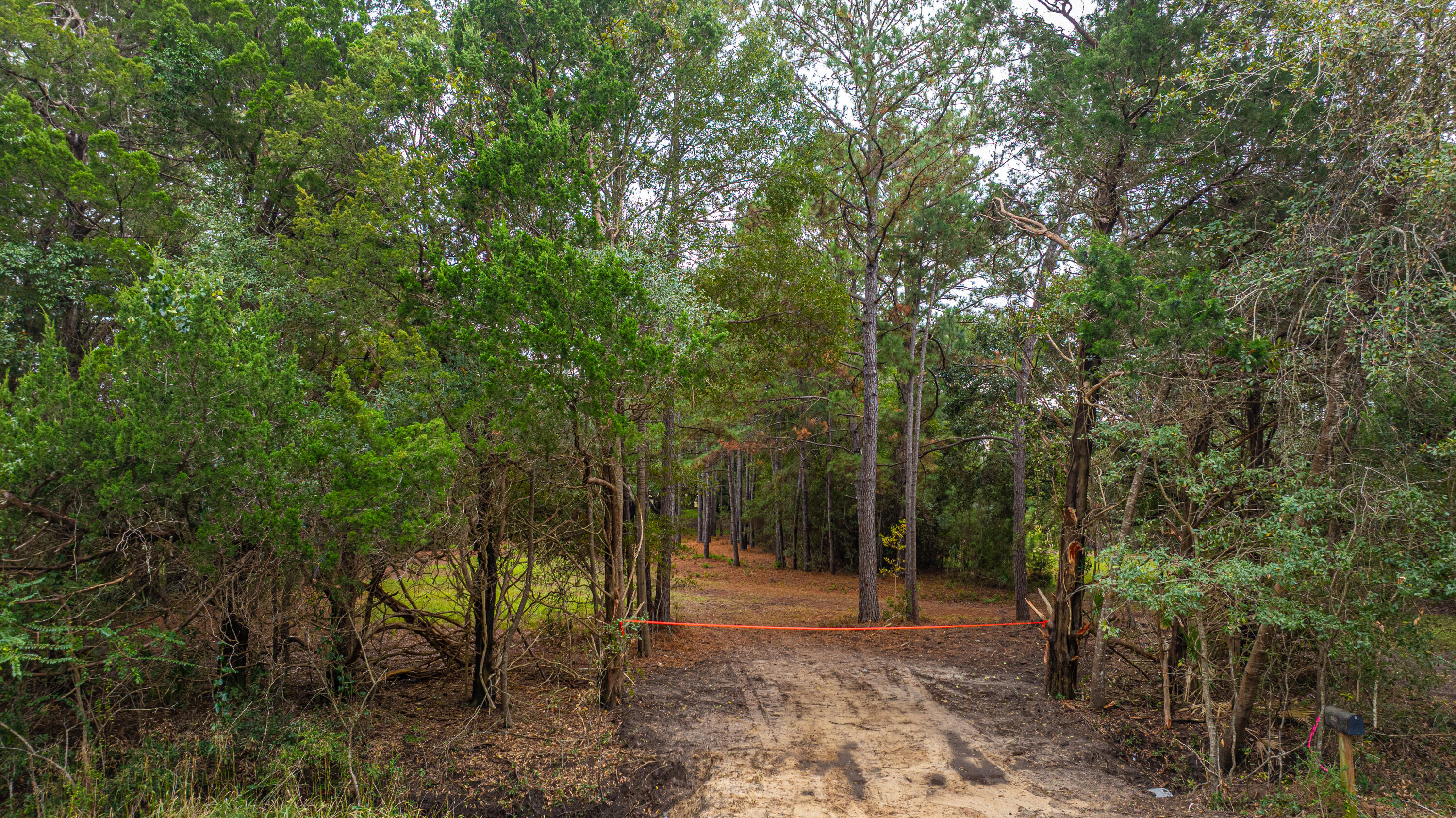 8737 Peters Point Road Edisto Island, SC 29438 - Photo 33 of 42 8737PetersPointRd041