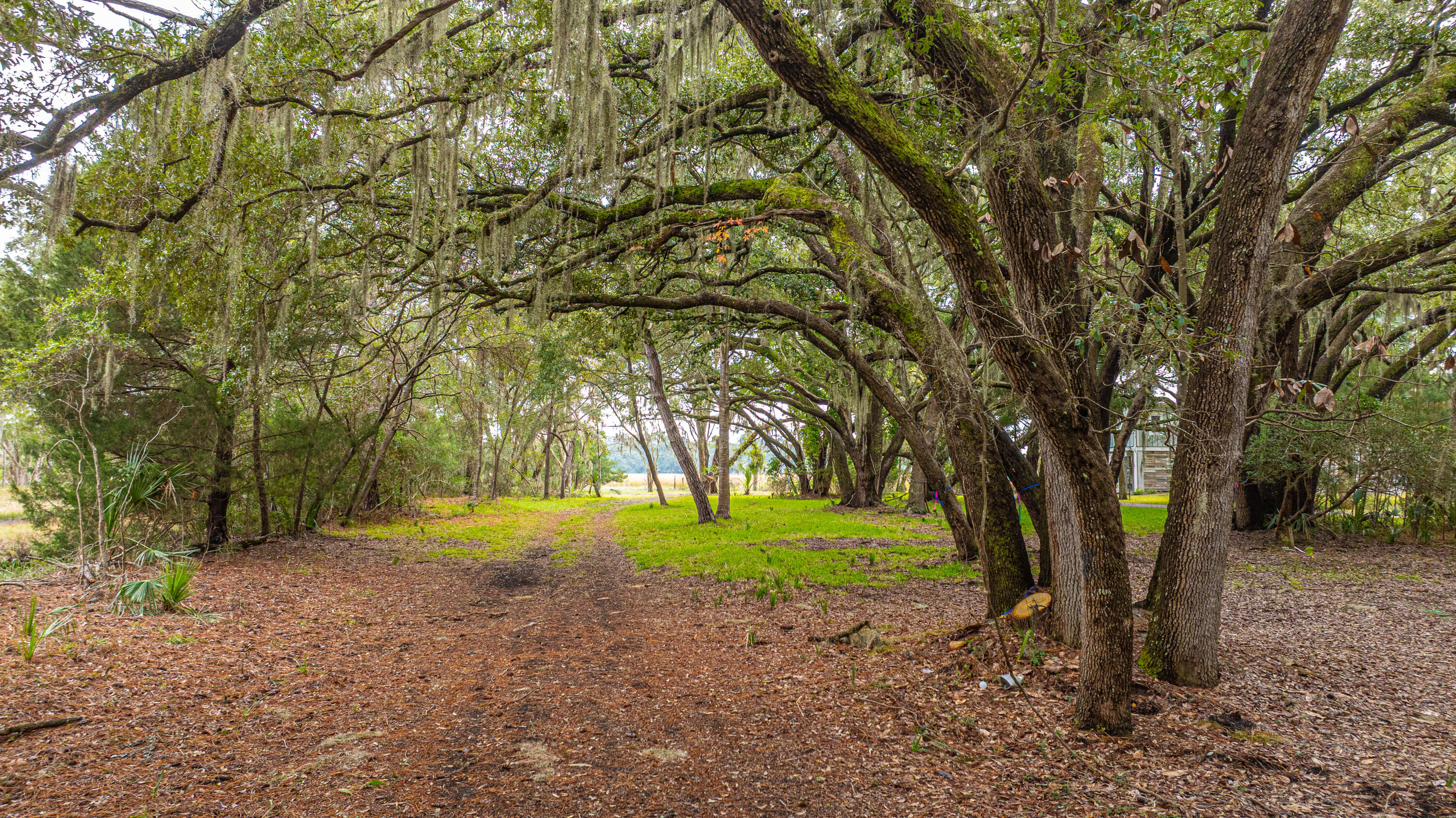 8737 Peters Point Road Edisto Island, SC 29438 - Photo 38 of 42 8737PetersPointRd076