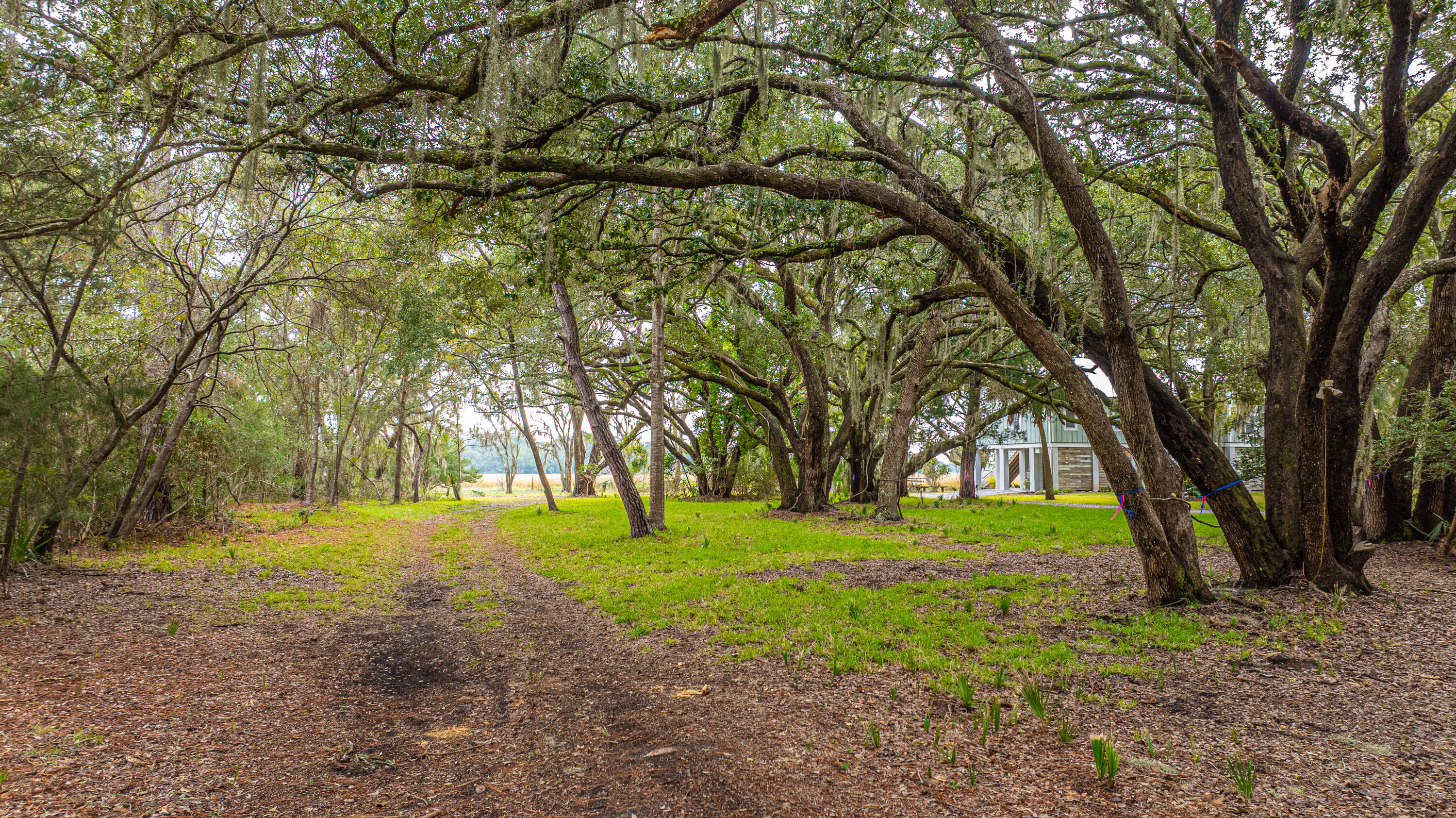 8737 Peters Point Road Edisto Island, SC 29438 - Photo 39 of 42 8737PetersPointRd077