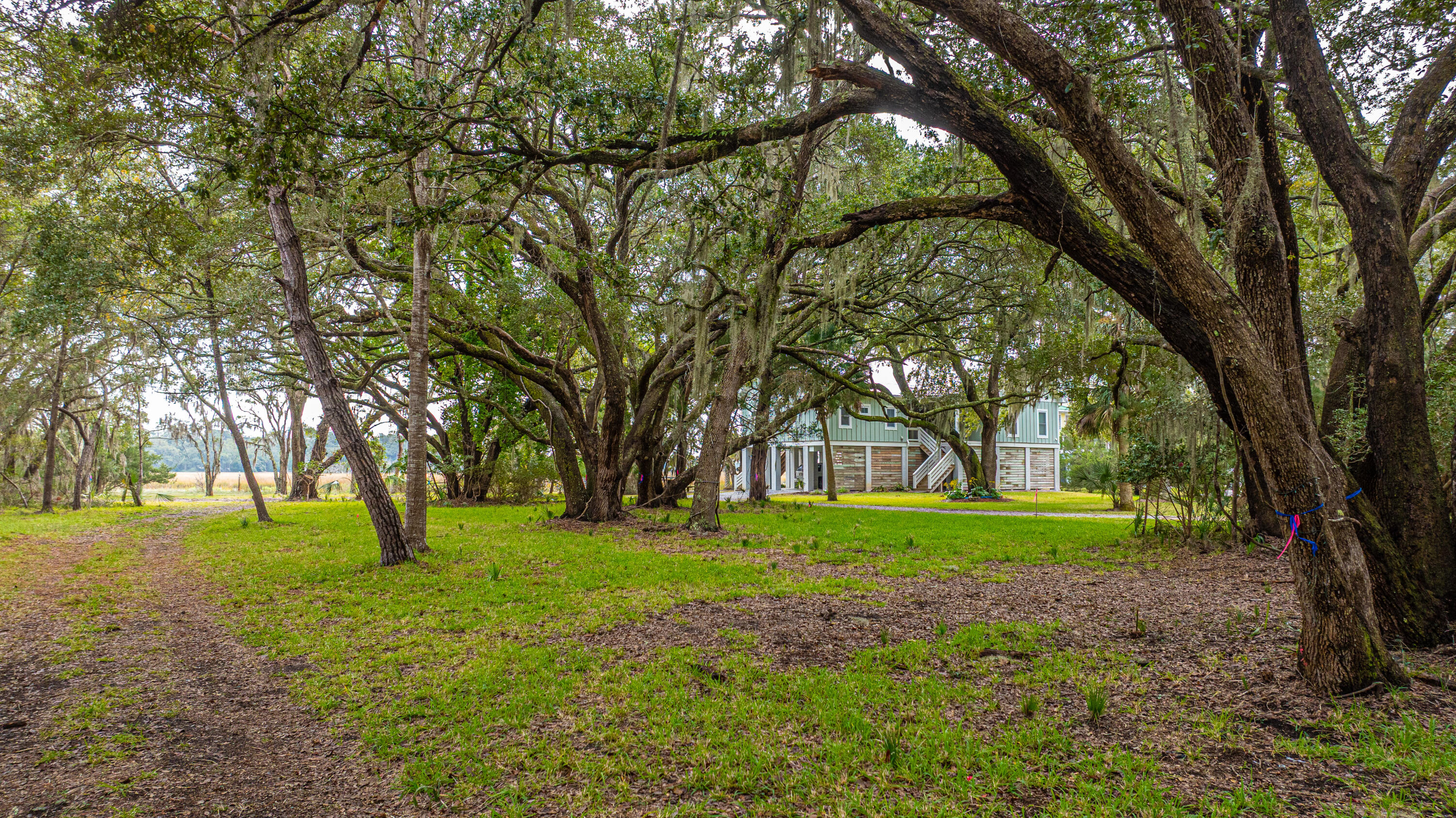 8737 Peters Point Road Edisto Island, SC 29438 - Photo 40 of 42 8737PetersPointRd078