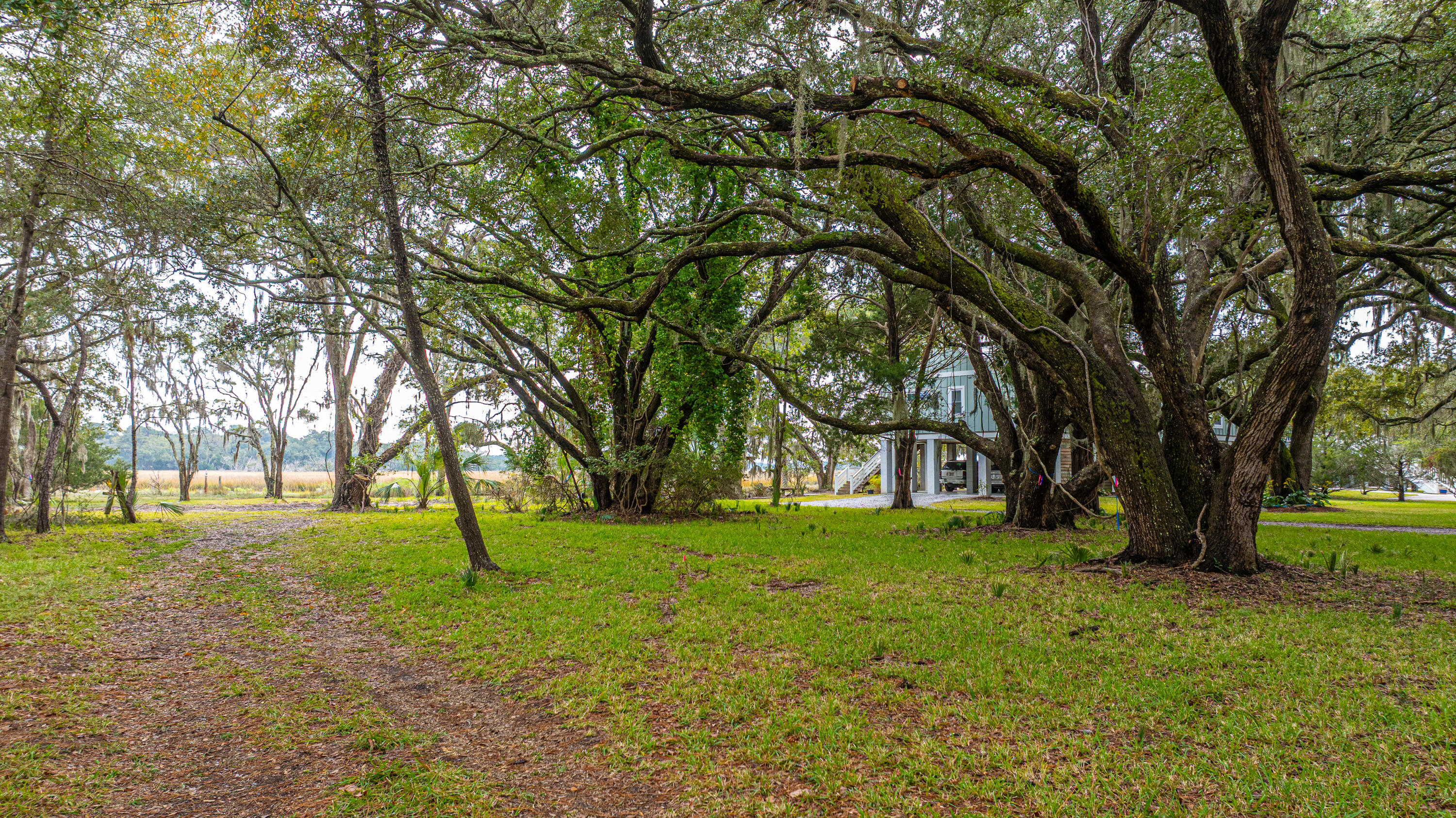 8737 Peters Point Road Edisto Island, SC 29438 - Photo 41 of 42 8737PetersPointRd079