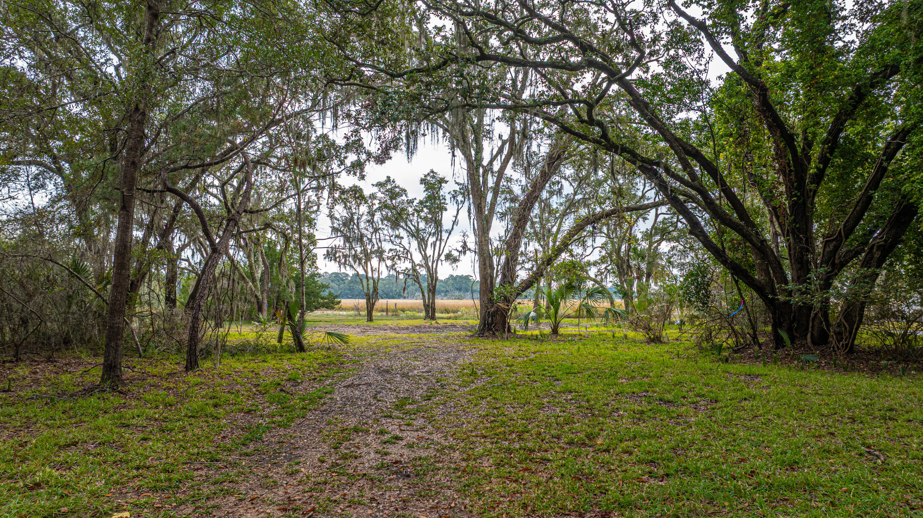 8737 Peters Point Road Edisto Island, SC 29438 - Photo 42 of 42 8737PetersPointRd080