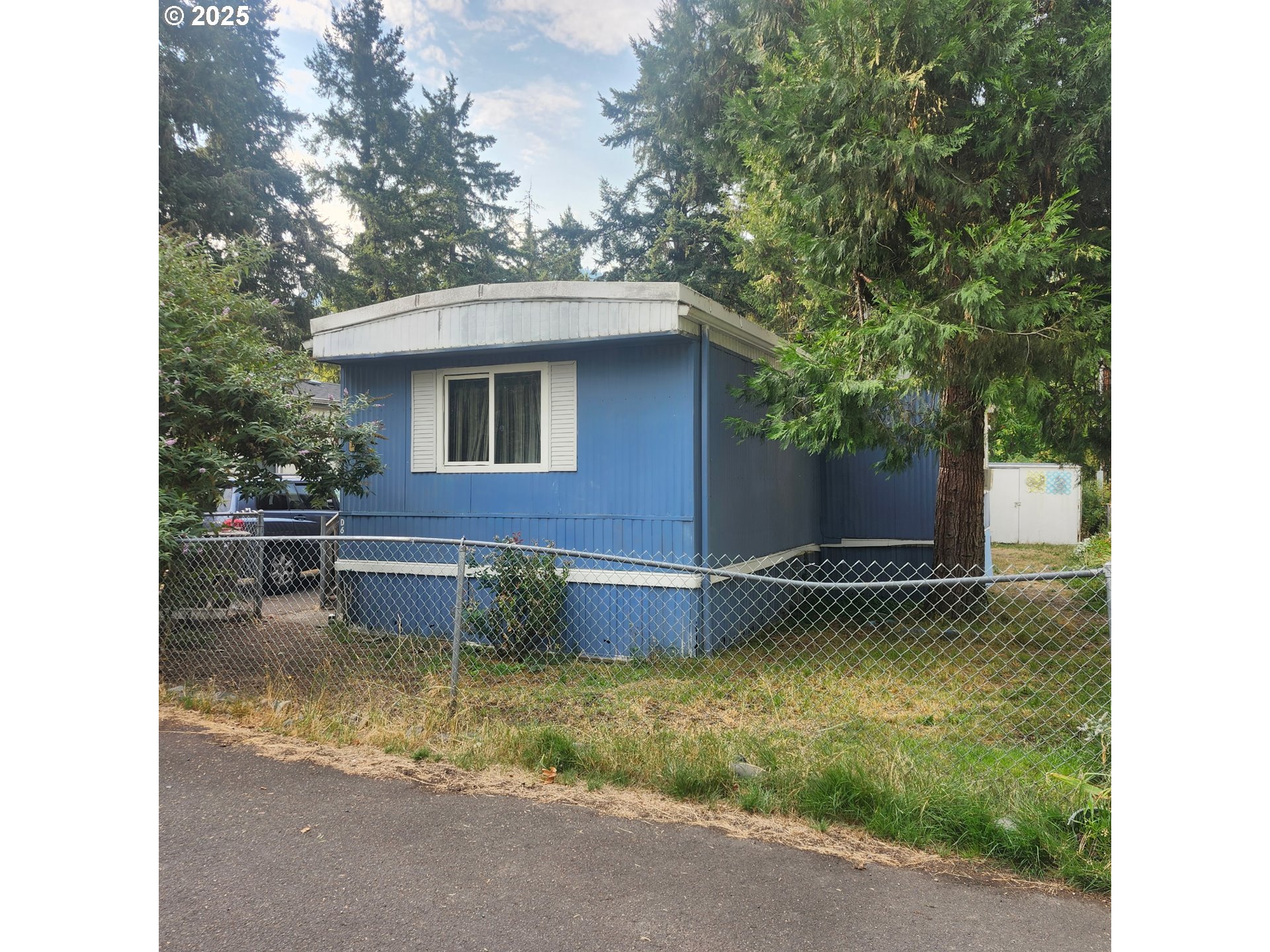 a view of a house with a yard patio and a tree