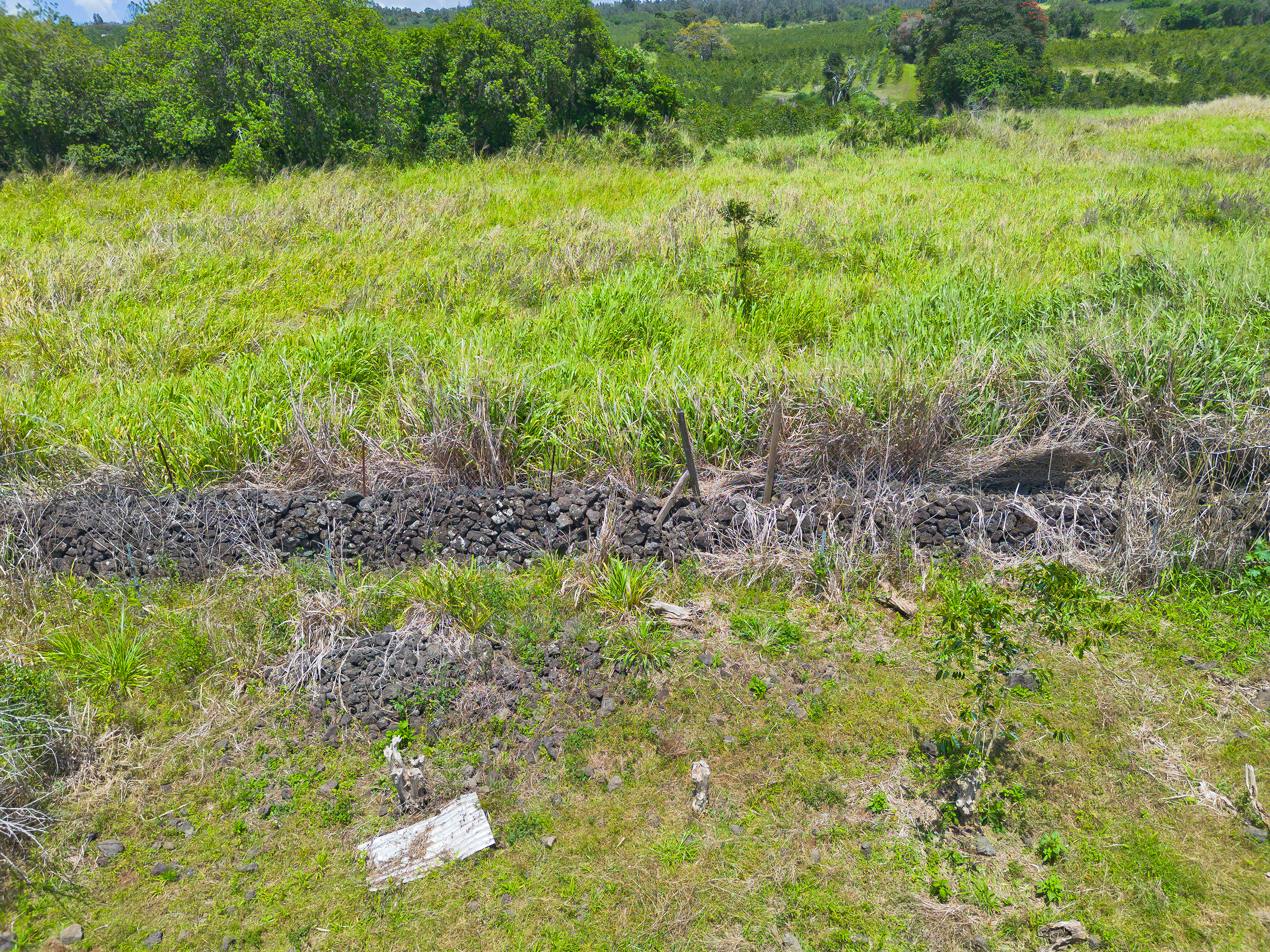 32 Lot Kealakekua, HI 96750 - Photo 7 of 8