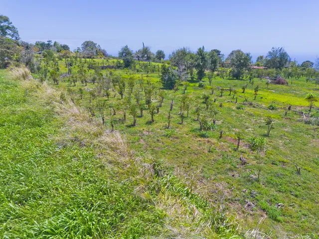 $1,150,000 | 32 Lot, Kealakekua, HI 96750