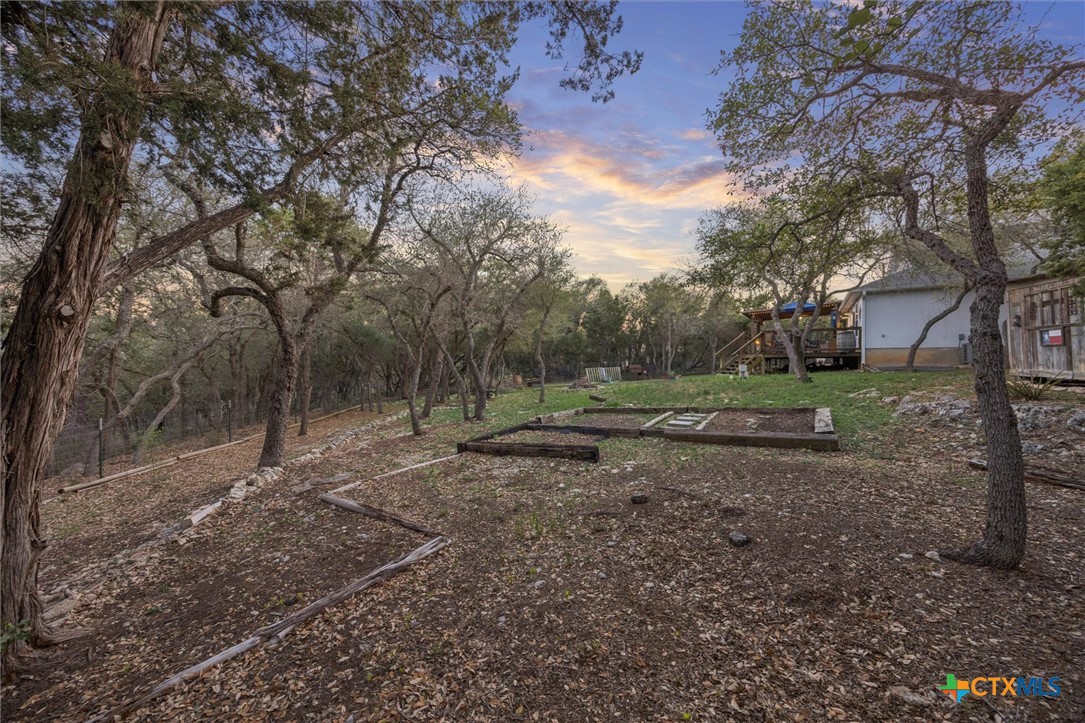 1328 Cottonwood Road Fischer, TX 78623 - Photo 29 of 35 a view of a backyard with trees