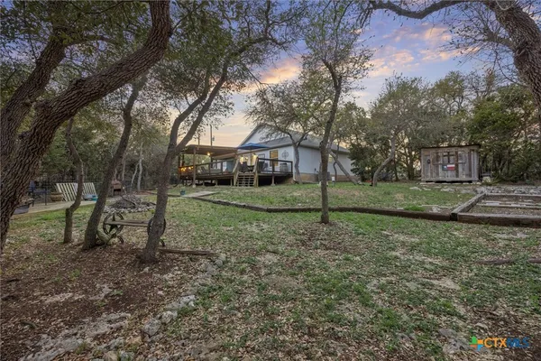 a view of a yard with a tree