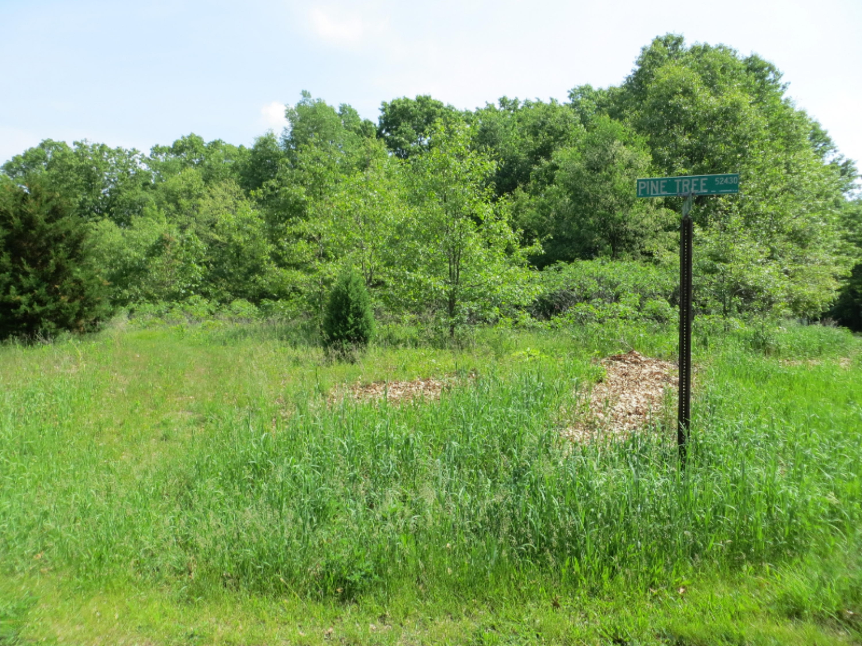 Three Rivers Mi 49093 Drive Three Rivers, MI 49093 - Photo 1 of 2 IMG_8104
