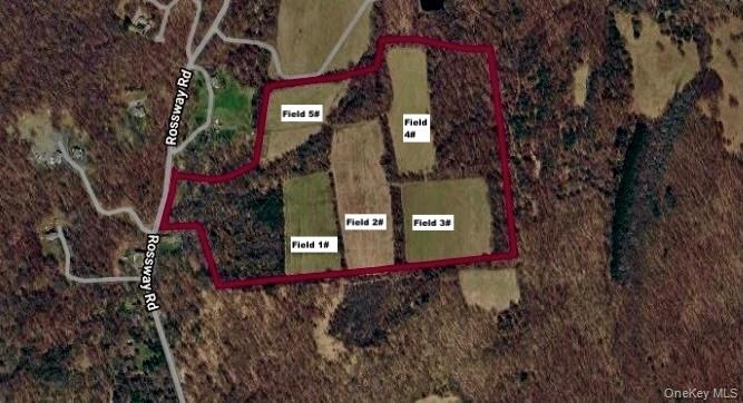 513 Rossway Road Pleasant Valley, NY 12569 - Photo 17 of 17 Field Location Aerial Map