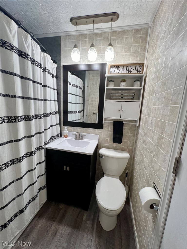 157 North 2nd Street Rittman, OH 44270 - Photo 27 of 43 Bathroom with vanity, toilet, wood-type flooring