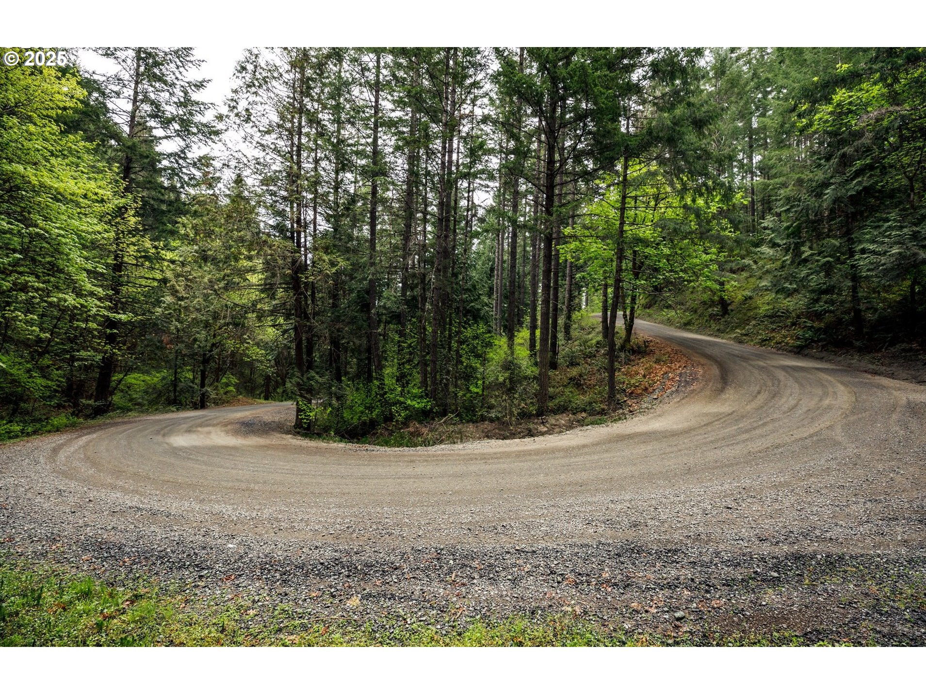 0 Rice Creek Road Winston, OR 97496 - Photo 46 of 48
