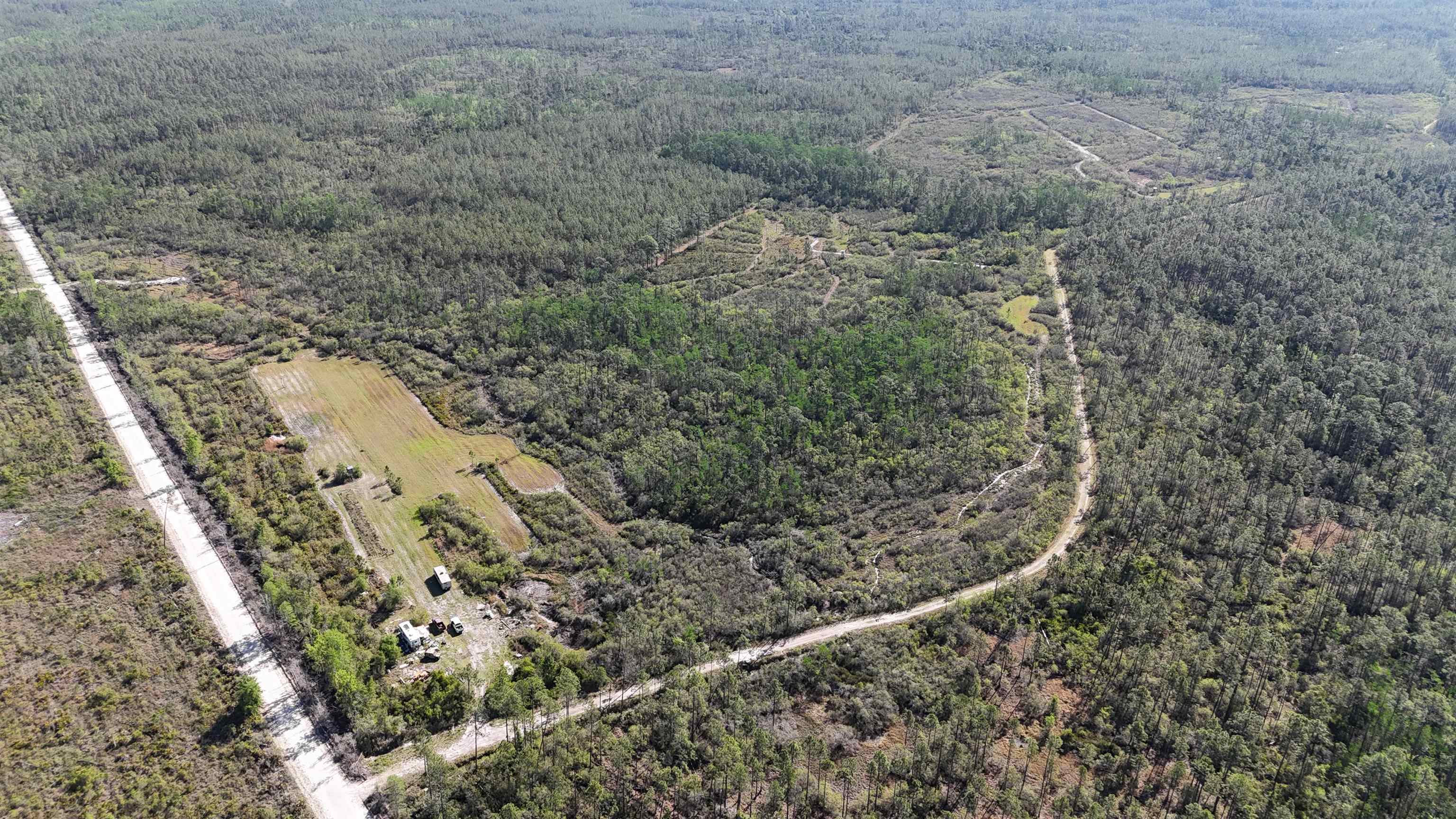 0 Madison Main Line Road Perry, FL 32347 - Photo 8 of 50