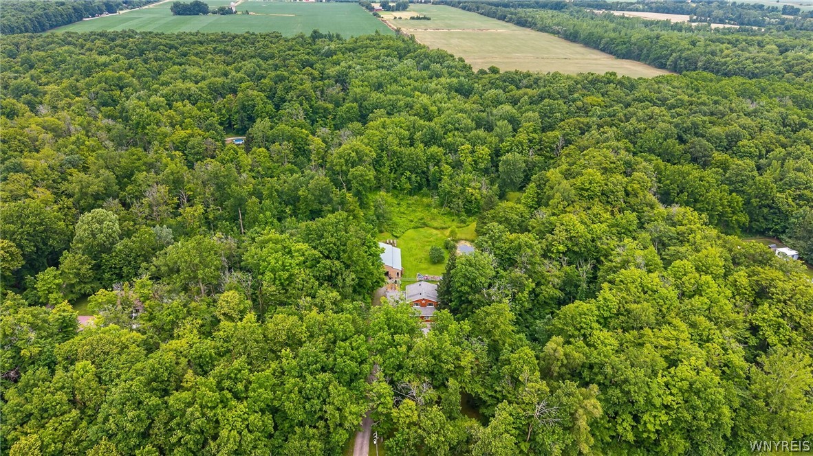 2367 Ellicott Road Caledonia, NY 14423 - Photo 30 of 38