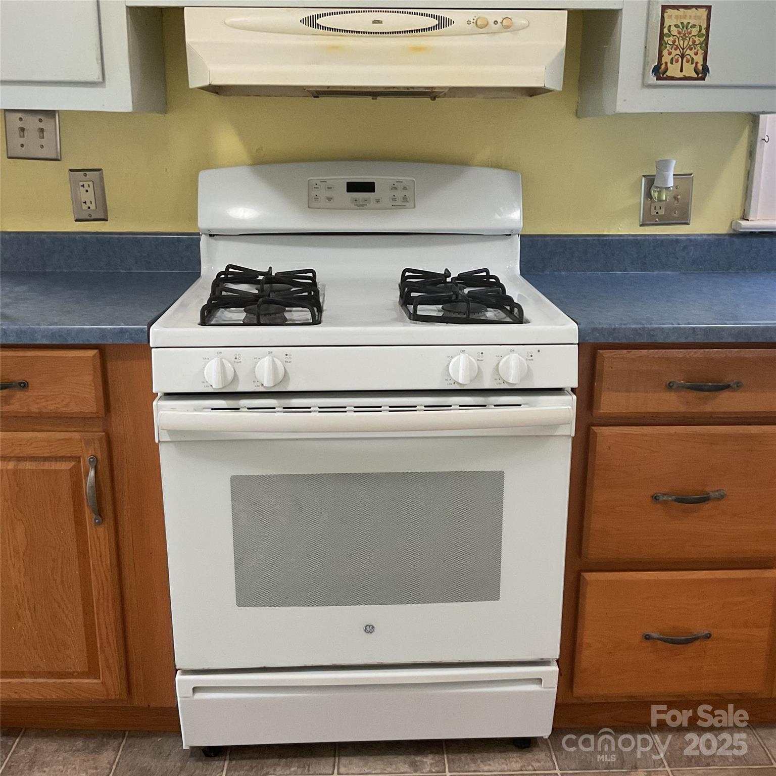 402 Connelly Springs Road Lenoir, NC 28645 - Photo 16 of 33 a close view of washer and dryer