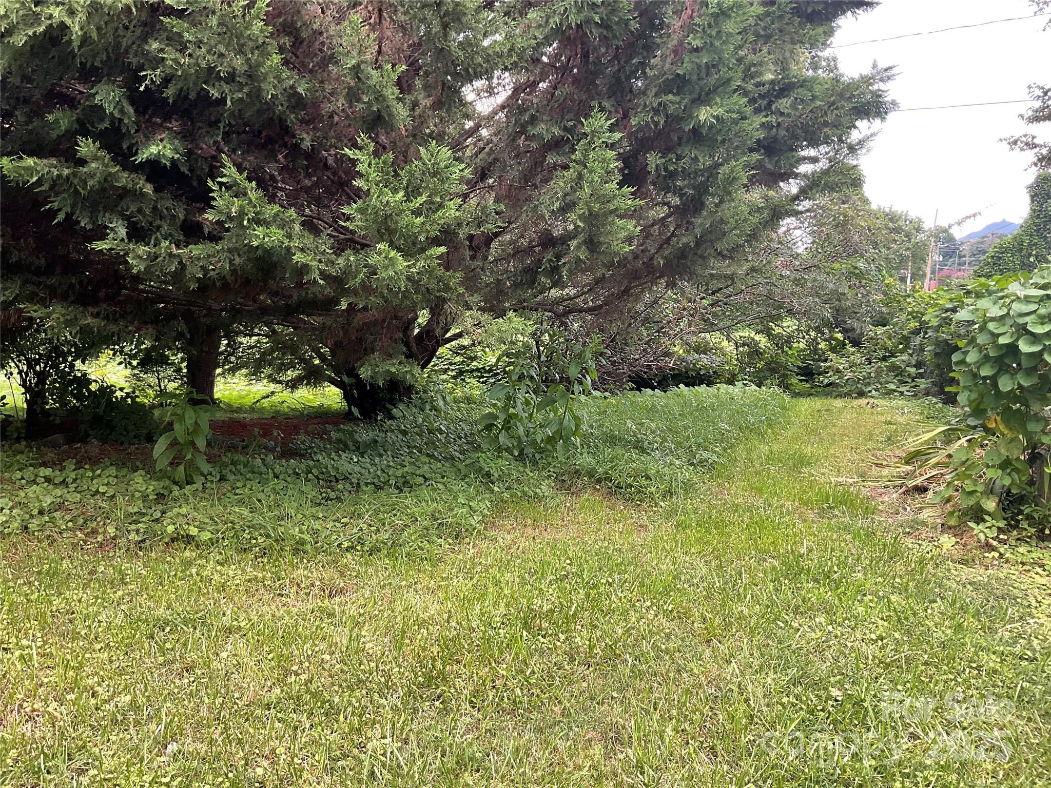 402 Connelly Springs Road Lenoir, NC 28645 - Photo 30 of 33 a view of outdoor space and yard
