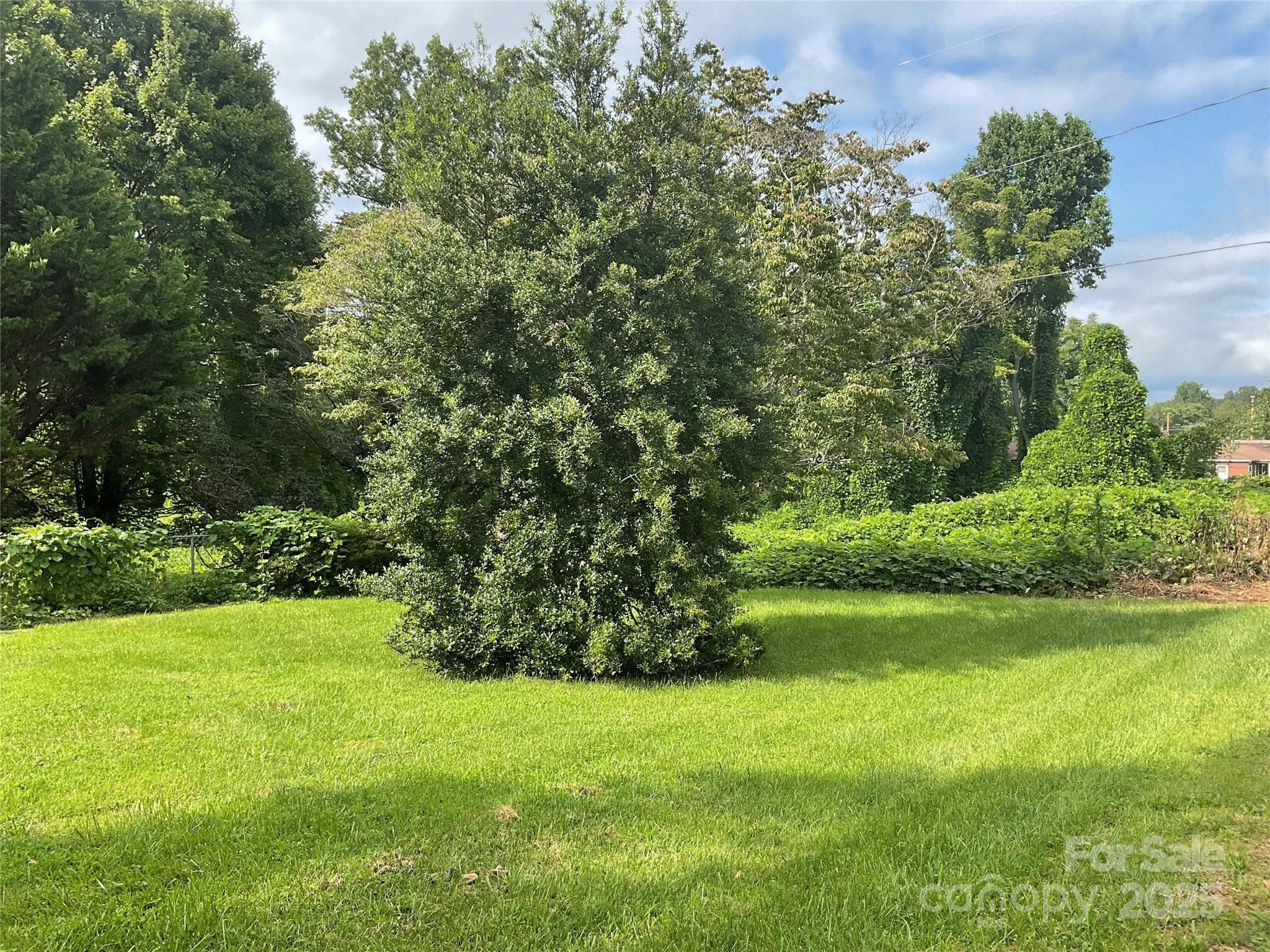 402 Connelly Springs Road Lenoir, NC 28645 - Photo 6 of 33 a view of a grassy field with trees