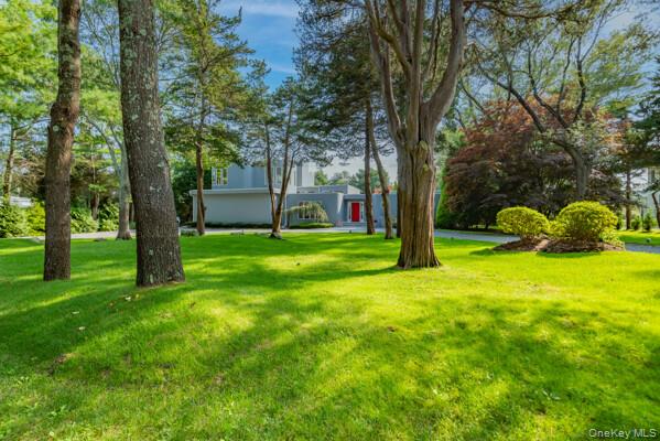 a view of a tree in front of a house with a big yard and large trees
