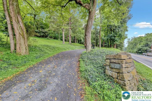 a view of a street with large trees