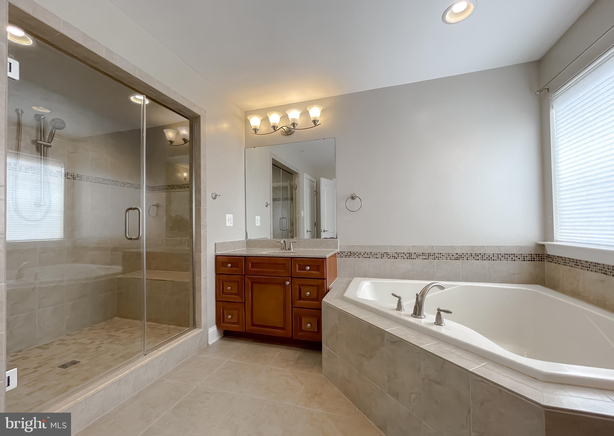 43361 Quail Street Hollywood, MD 20636 - Photo 44 of 73 a bathroom with a bathtub a double vanity sink and shower