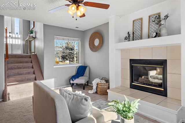 425 Blossom Field Road Fountain, CO 80817 - Photo 4 of 28