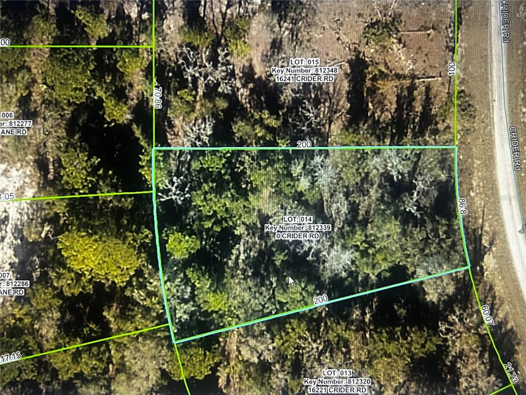 0 Crider Road Weeki Wachee, FL 34614 - Photo 11 of 11 a view of a bird