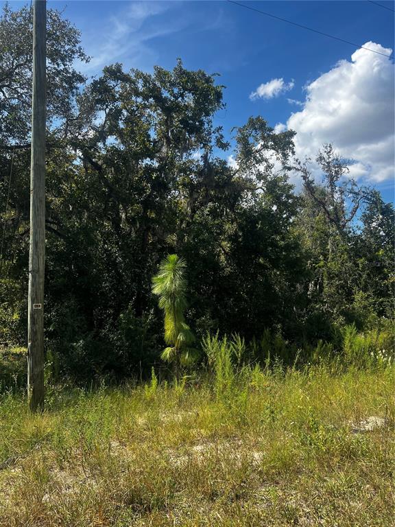 0 Crider Road Weeki Wachee, FL 34614 - Photo 7 of 11 a view of a garden