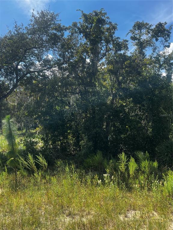 0 Crider Road Weeki Wachee, FL 34614 - Photo 8 of 11 a view of lake