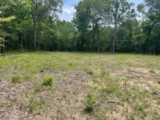 4 Fm 1848 Buffalo, TX 75831 - Photo 4 of 7