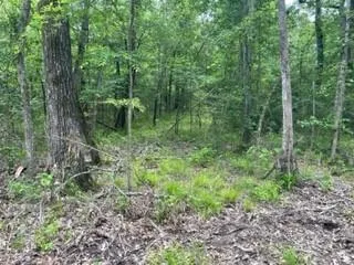 $512,210 | 4 Fm 1848, Buffalo, TX 75831