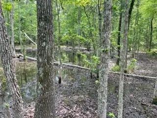 $512,210 | 4 Fm 1848, Buffalo, TX 75831