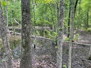 4 Fm 1848 Buffalo, TX 75831 - Photo 7 of 7