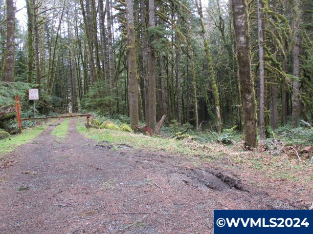 0 Quartzville Road Cascadia, OR 97329 - Photo 9 of 10