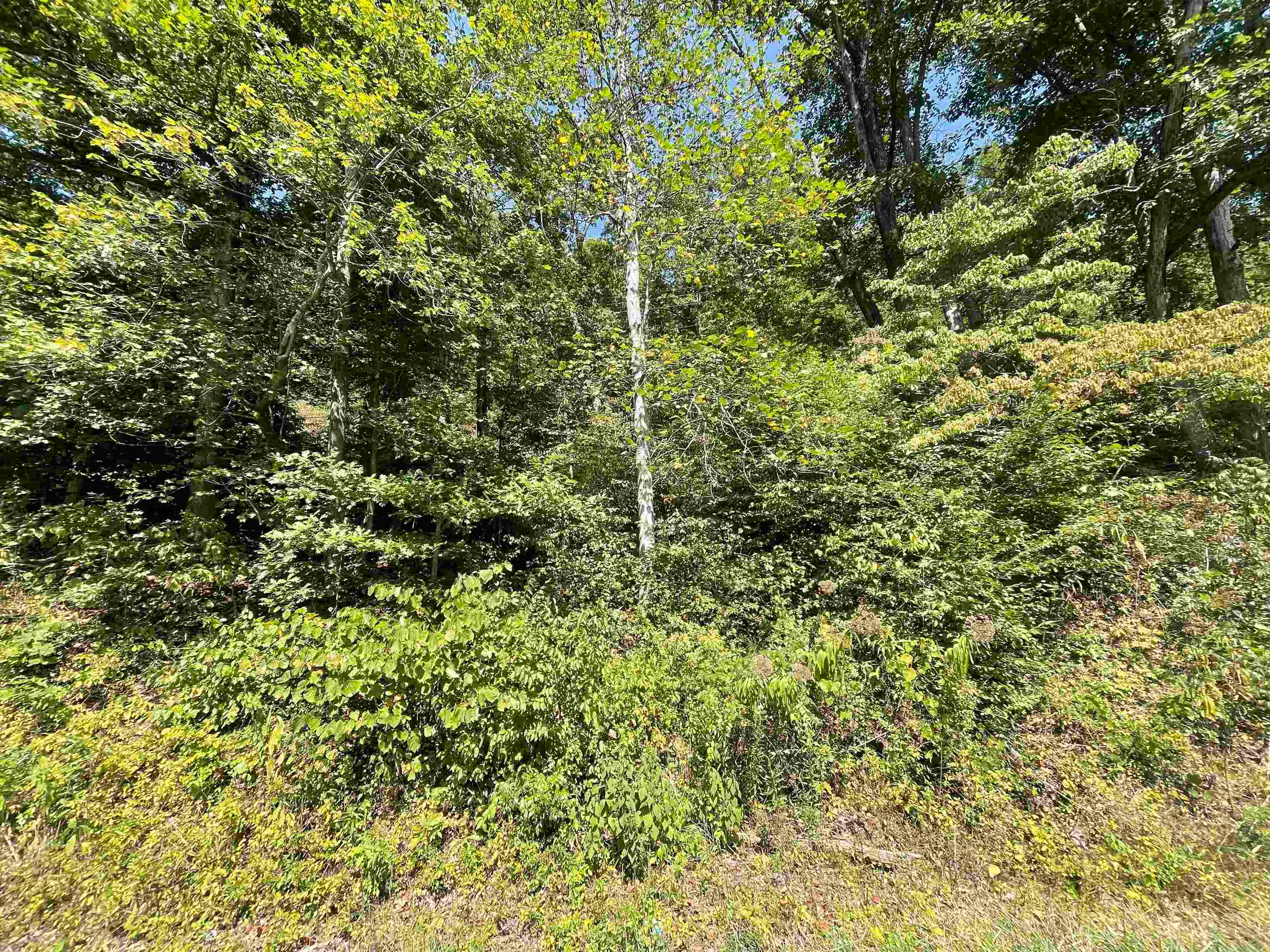 0 Fort Gay Road Fort Gay, WV 25514 - Photo 1 of 3 Gallery Image 1