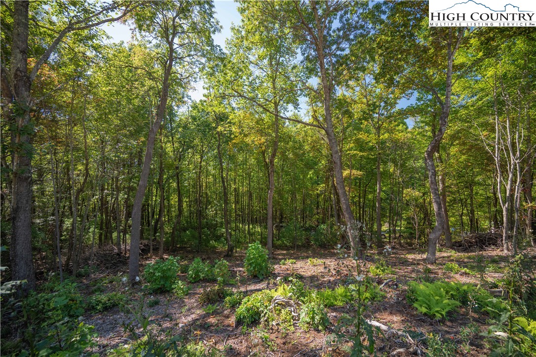 Lot 137 Angelfire Trail Deep Gap, NC 28618 - Photo 6 of 27 a view of outdoor space and green space