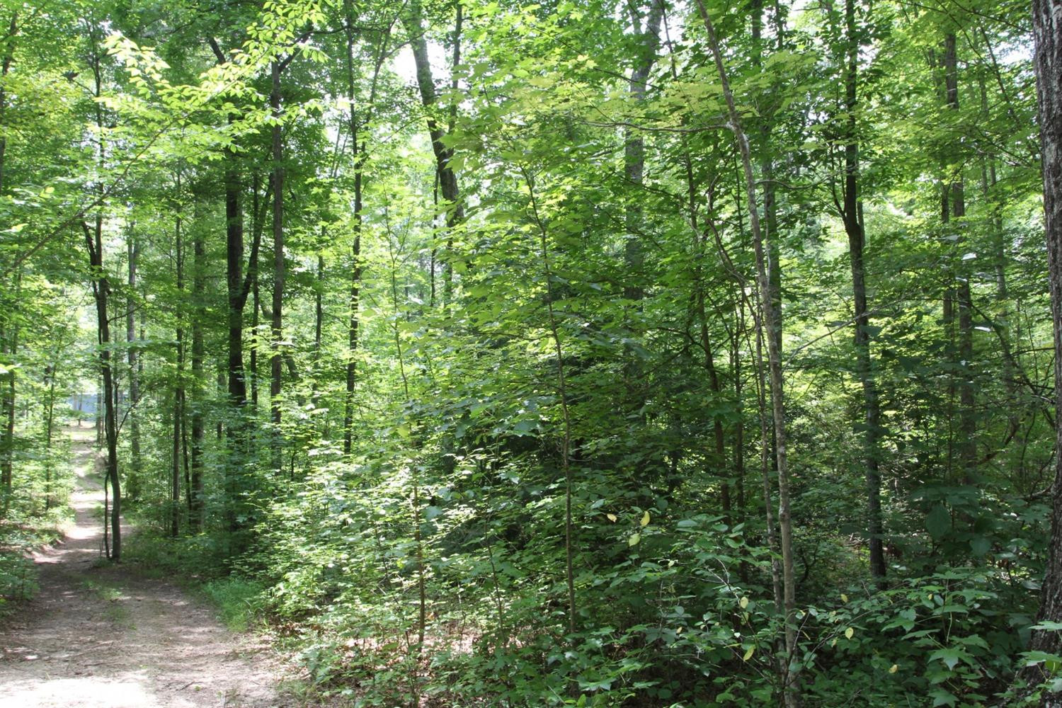 5210 London Dock Road London, KY 40744 - Photo 20 of 73 Listing Photo