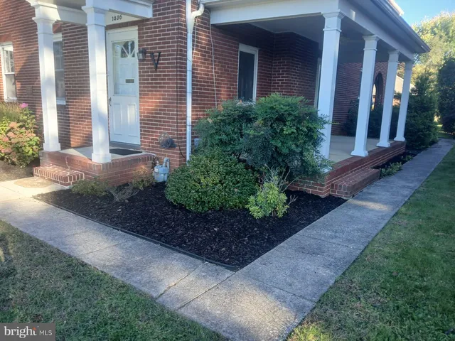 a view of a backyard with potted plants