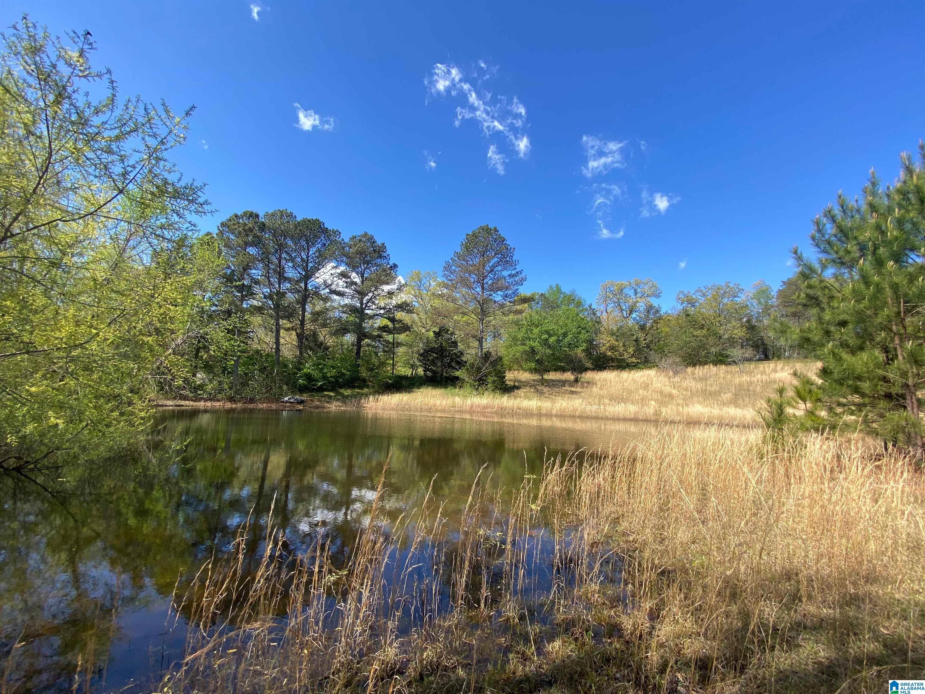 2590 Levine Road Odenville, AL 35120 - Photo 29 of 33