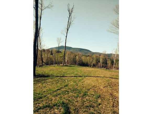 1 Girdlot Road Weathersfield, VT 05156 - Photo 1 of 1