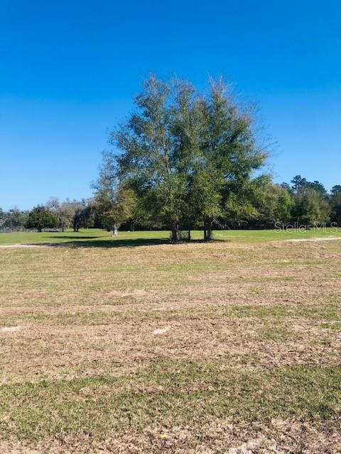 1 Northwest 145th Avenue Road Morriston, FL 32668 - Photo 3 of 3